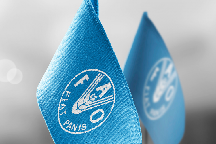 Two light blue FAO flags.